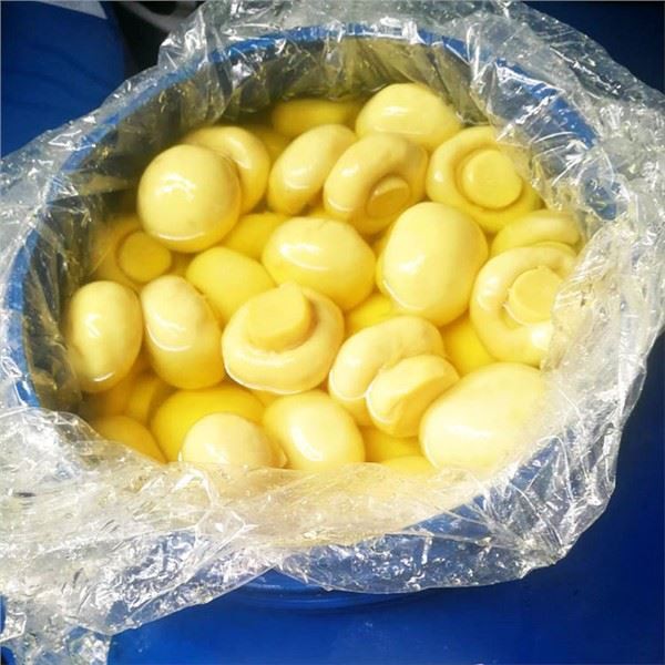 Champignon Sopp i SO2