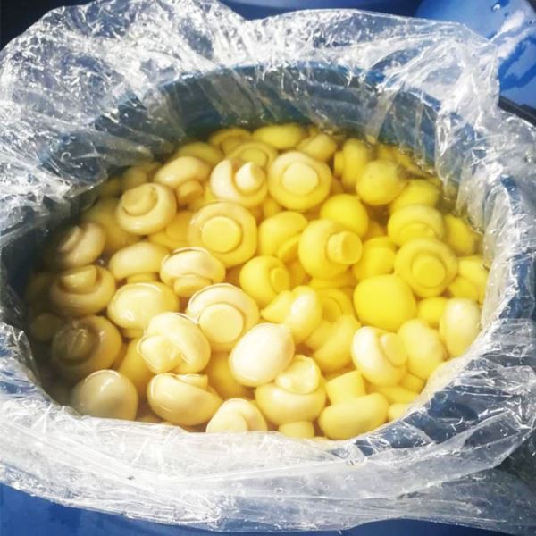 Bevart sopp i tromme