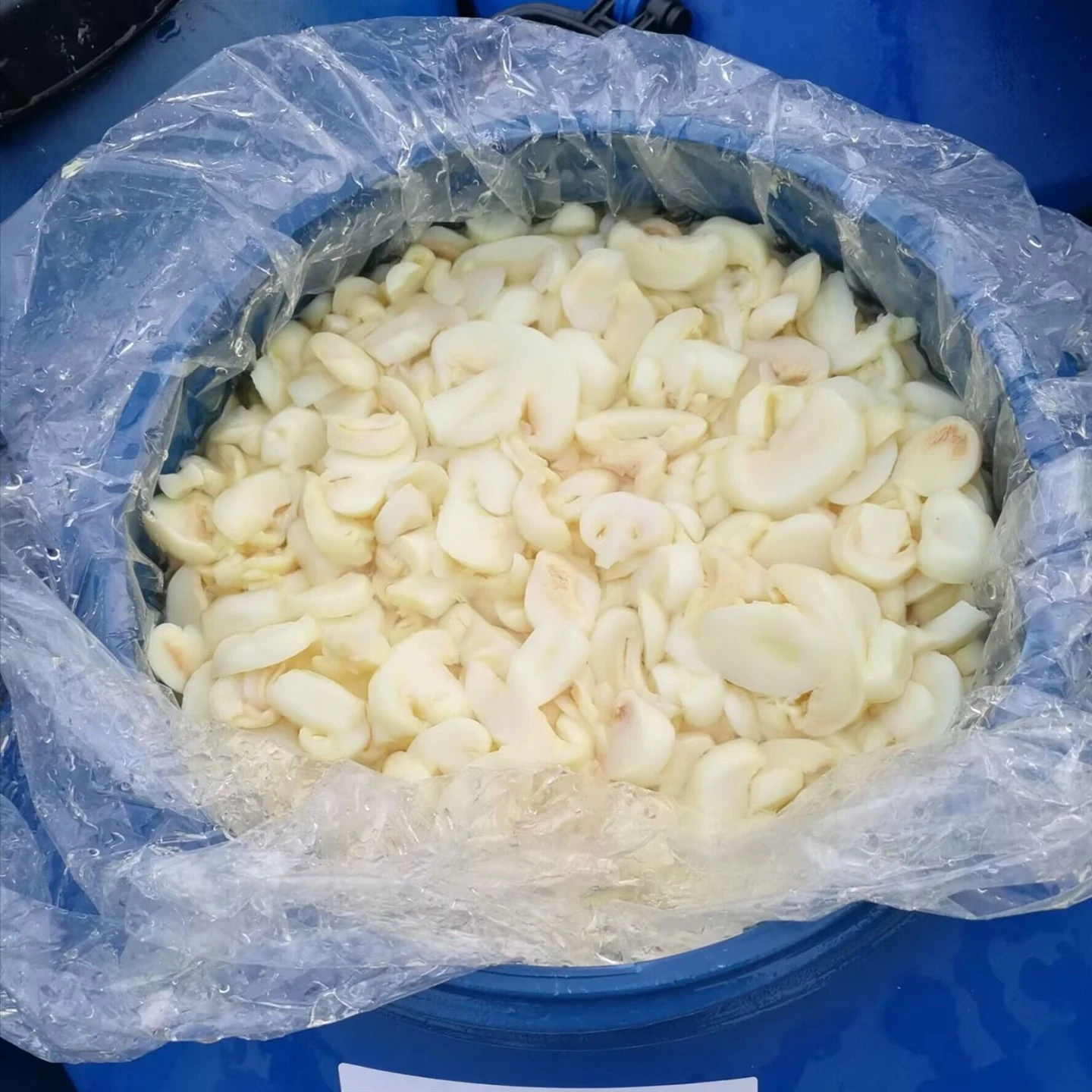 High Quality Drum Packed Brined Mushrooms