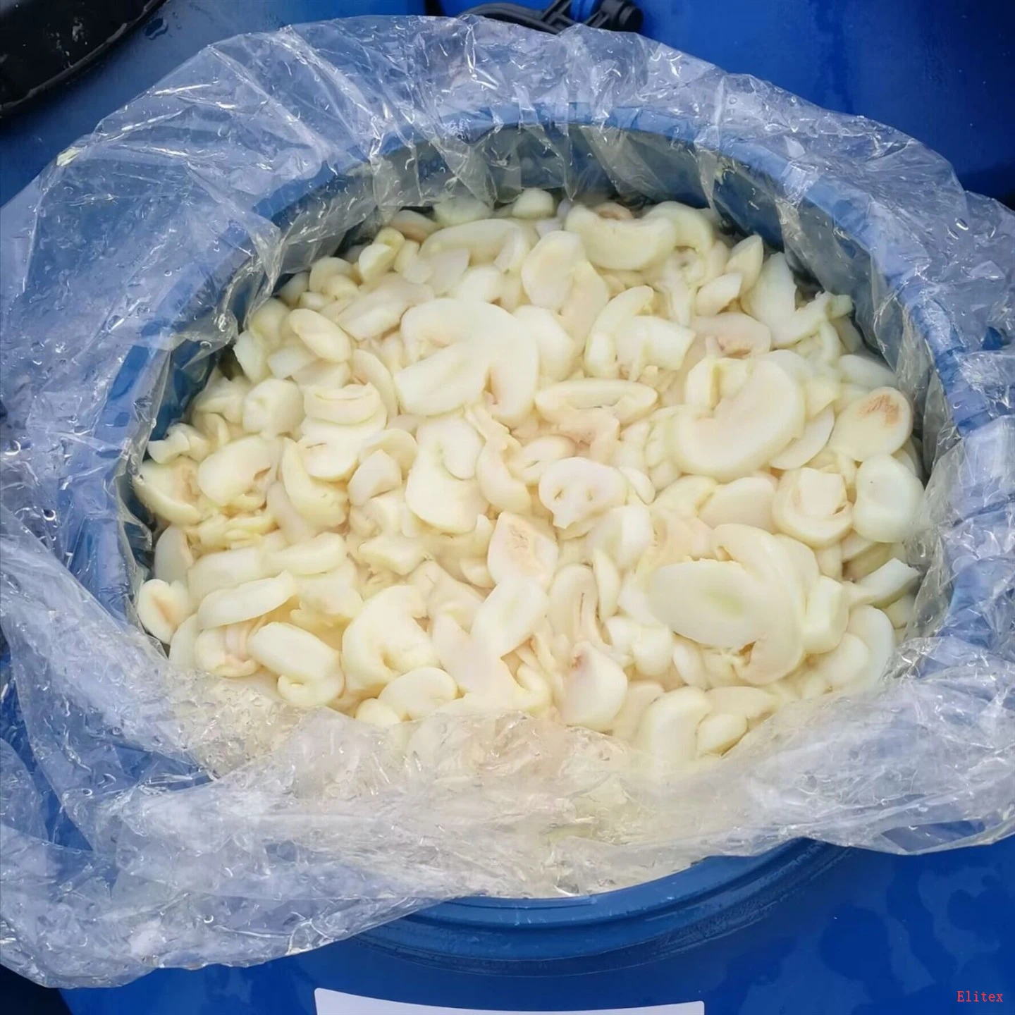 High Quality Drum Packed Brined Mushrooms best