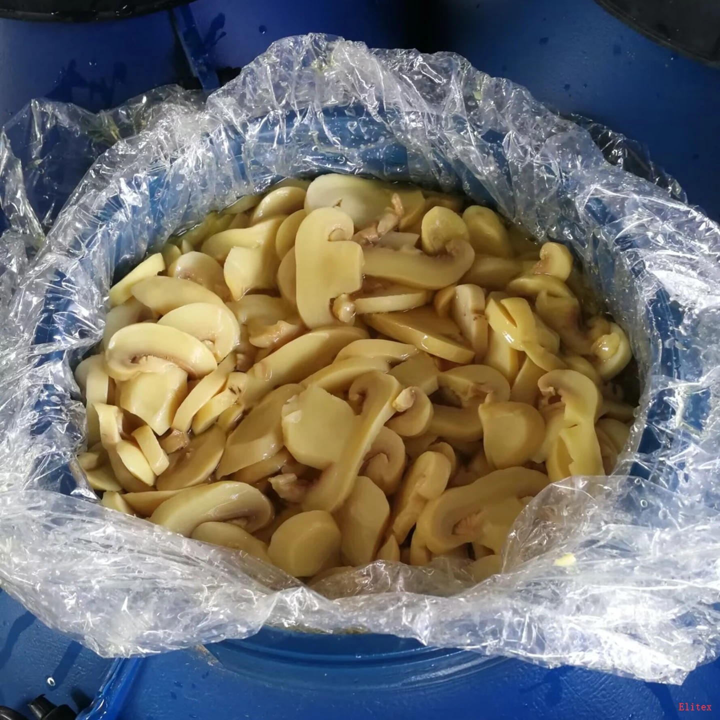 Mushroom Drums Factory Price Fresh Seasoned suppliers