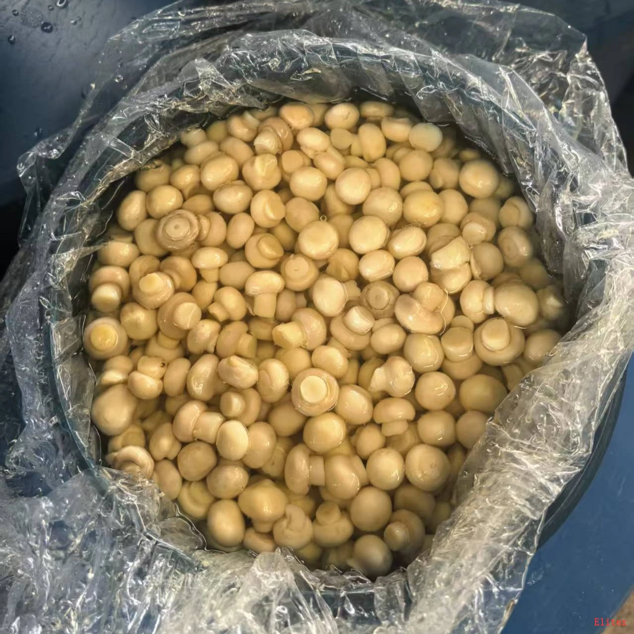 Mushroom Drums Factory Price Fresh Seasoned factory
