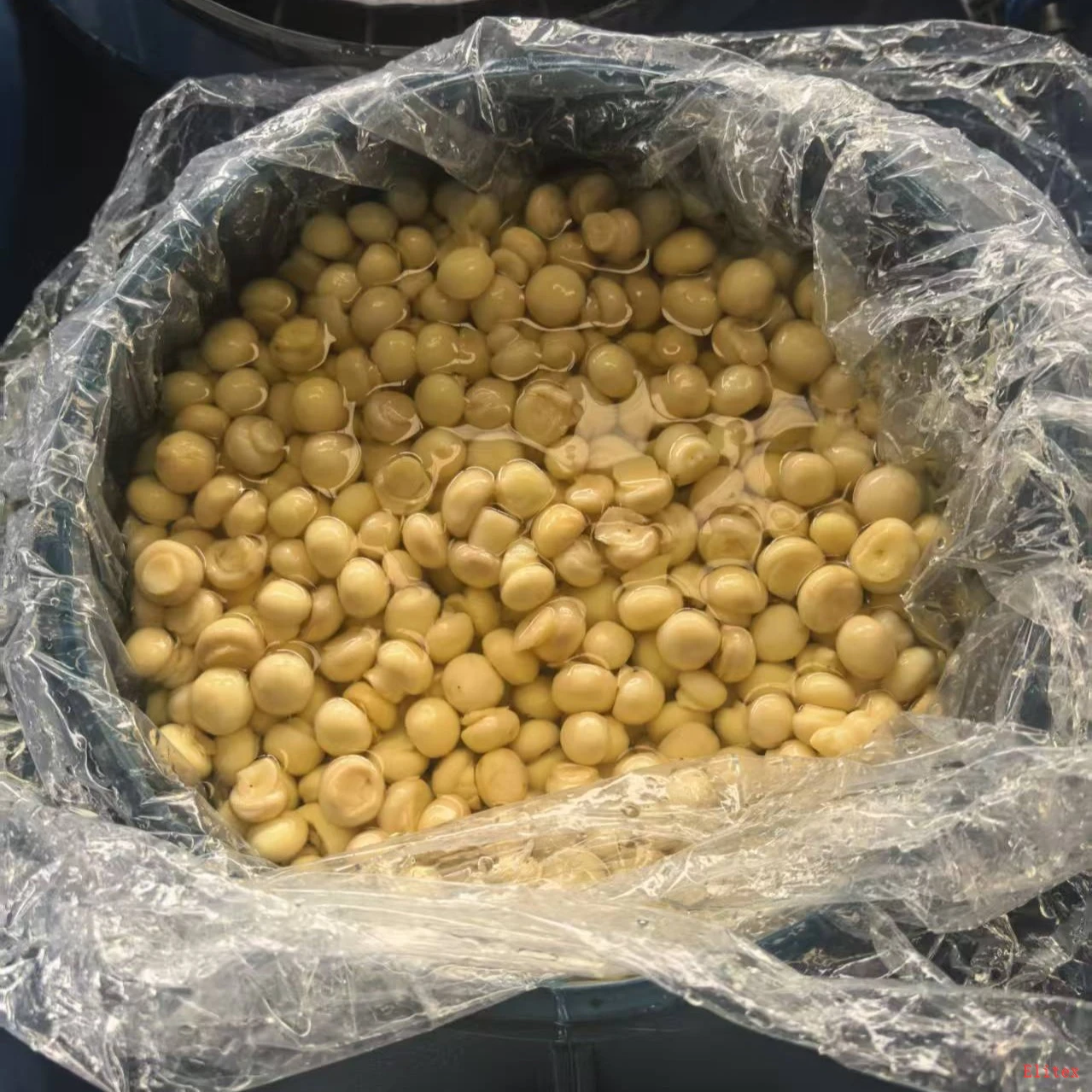 Mushroom Drums Factory Price Fresh Seasoned best