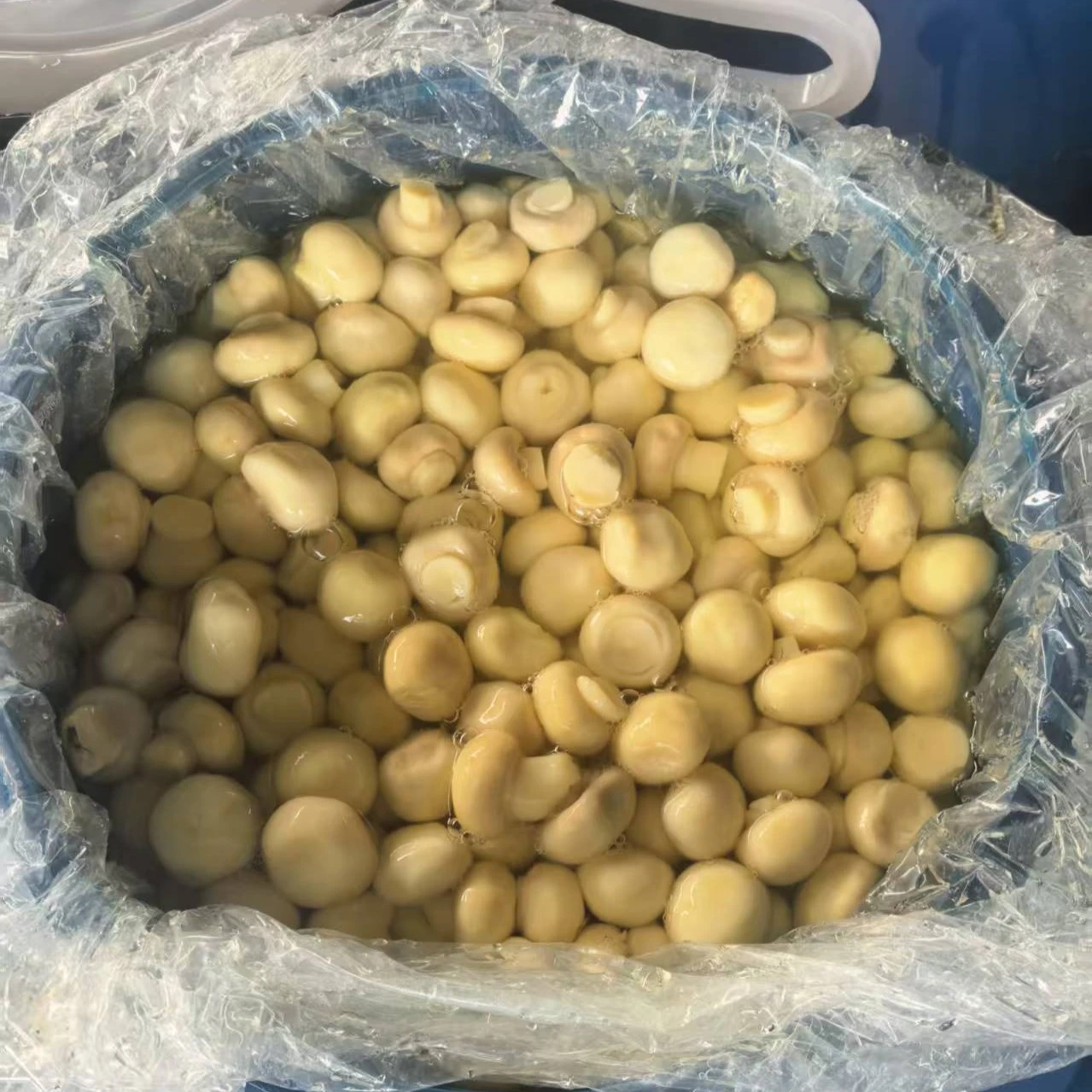 Mushroom Drums Factory Price Fresh Seasoned